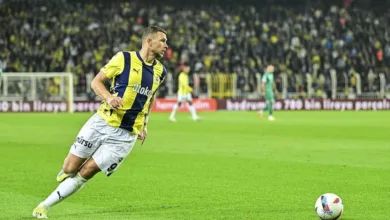 Dzeko ve Hajradinovic'e milli davet- Fenerbahçe