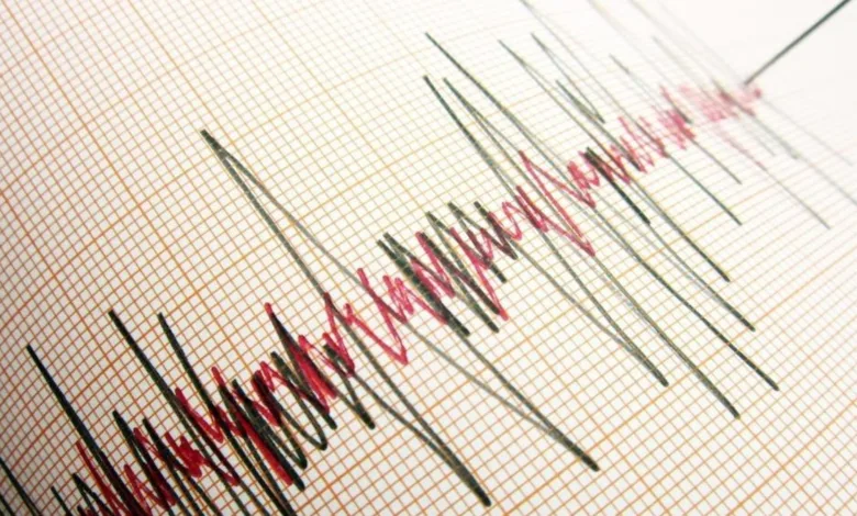 Rize'de 4,7 Büyüklüğünde Deprem Meydana Geldi- Fenerbahçe