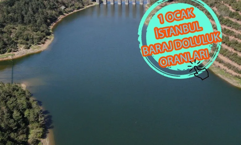 Baraj doluluk oranları - İstanbul baraj doluluk oranı İSKİ 1 Ocak rakamları- Diğer Sporlar