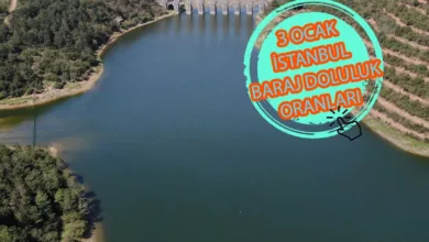 Baraj doluluk oranları - İstanbul baraj doluluk oranı İSKİ 3 Ocak rakamları- Diğer Haberler