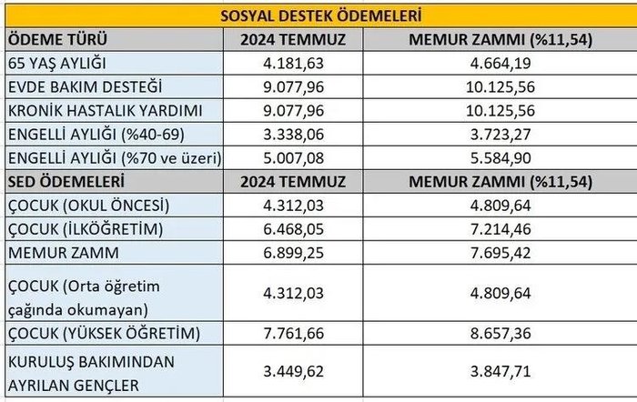 EVDE BAKIM MAAŞI 2025 RAKAMI BELLİ OLDU MU? - Evde bakım aylığı zammı yüzde kaç?- Diğer Haberler