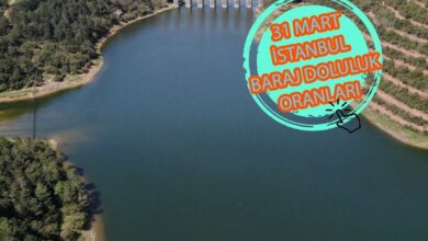 BARAJ DOLULUK - İstanbul baraj doluluk oranları İSKİ 31 Mart- Diğer Haberler