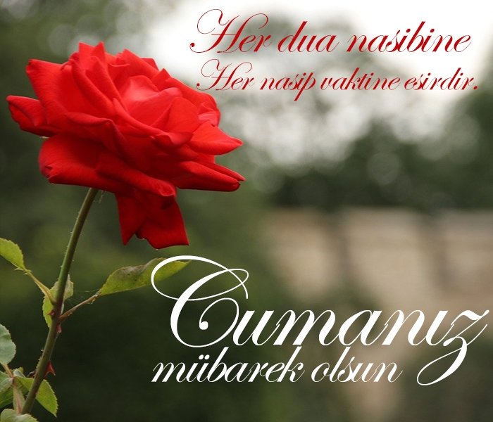 🌹 CUMA AKŞAMI MESAJLARI RESİMLİ | Dualı ayetli resimli en güzel ve yeni cuma mesajları- Diğer Haberler