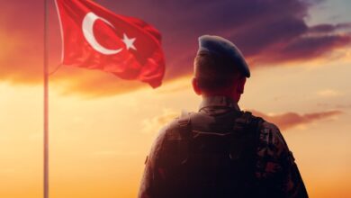 Askerlik yerleri sorgulama ekranı e-devlet | MSB 2025 Mayıs celbi - Askerlik yeri öğrenme- Diğer Haberler