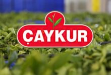 Çaykur işçi alımı 2025 | 1.500 işçi alımı ne zaman olacak, başvuru şartları neler?- Diğer Haberler