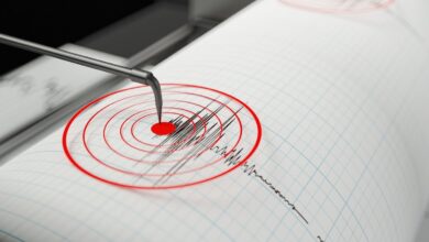 Ege Denizi'nde deprem mi oldu? Muğla deprem son dakika | AFAD şiddetini duyurdu- Diğer Haberler