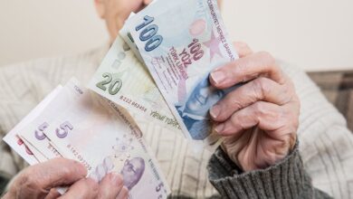 Emeklilik için yeni fırsat: 500 bin TL'sini devlet ödeyecek! Ev hanımlarına 'aile yılı' müjdesi- Diğer Haberler
