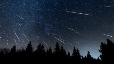 Lyrid meteor yağmuru ne zaman 2025? Lyrid meteor yağmuru saat kaçta, Türkiye'den görülecek mi?- Diğer Haberler