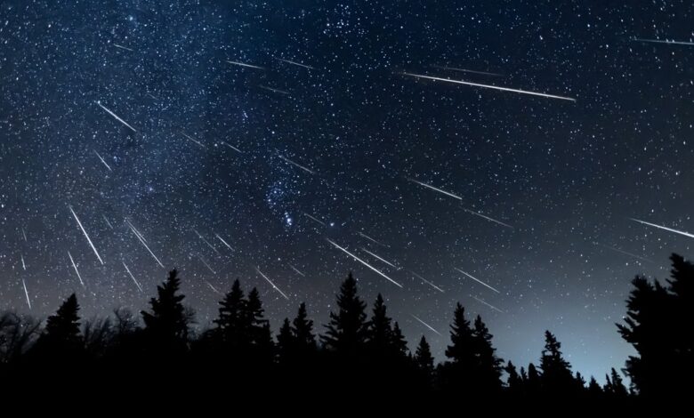 Lyrid meteor yağmuru ne zaman 2025? Lyrid meteor yağmuru saat kaçta, Türkiye'den görülecek mi? 14 Lyrid meteor yağmuru ne zaman 2025? Lyrid meteor yağmuru saat kaçta, Türkiye'den görülecek mi?- Diğer Haberler
