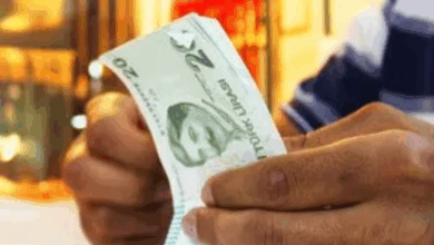 SED YARDIMI NİSAN 2025 | SED yardımı ödemeleri hesaba yattı mı, ne zaman yatacak?- Diğer Haberler