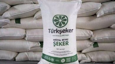 Türkşeker başvuru ekranı 2025 | Türkşeker 1685 personel alımı nasıl başvurulur? Başvuru şartları, açılan kadrolar- Diğer Haberler