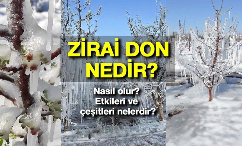 Zirai don nedir? Nasıl olur? Etkileri ve çeşitleri nelerdir? Zirai don nasıl engellenir? 17 Zirai don nedir? Nasıl olur? Etkileri ve çeşitleri nelerdir? Zirai don nasıl engellenir?- Diğer Haberler