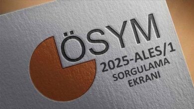 ALES sonuç ekranı 2025-1 | ALES sonuçlarına nasıl, nereden bakılır? ÖSYM sonuç sorgulama ekranı- Diğer Haberler