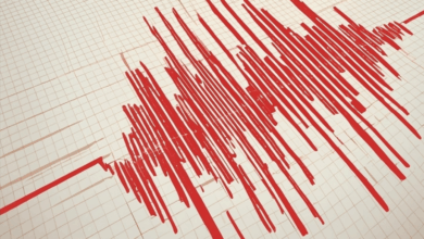 Arjantin deprem son dakika | Arjantin'de 7.4 büyüklüğünde deprem! Tsunami uyarısı geldi...- Diğer Haberler