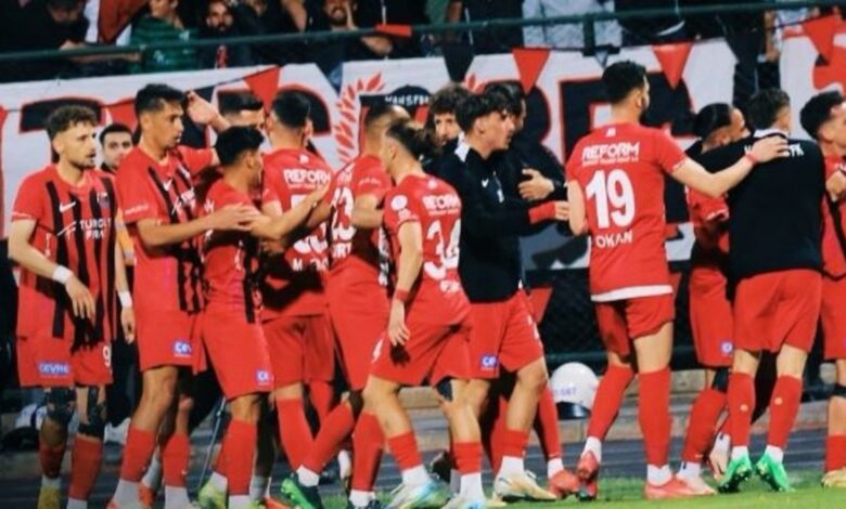 Artı Değer Vanspor FK 4-1 Çimentaş Elazığspor (MAÇ SONUCU ÖZET)- Fenerbahçe