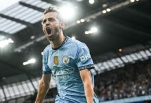 Aslan'da Silva heyecanı- Diğer Haberler