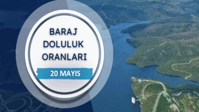 BARAJ DOLULUK - İstanbul baraj doluluk oranları İSKİ 20 Mayıs- Diğer Haberler