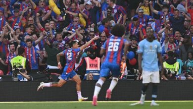 Crystal Palace 1-0 Manchester City (MAÇ SONUCU ÖZET) FA Cup Crystal Palace'ın!- Futbol