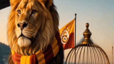 Galatasaray'dan şampiyonluk sonrası ezeli rakiplere göndermeli paylaşım: "İstanbul bir saray, tek hakimi Galatasaray!"- Futbol