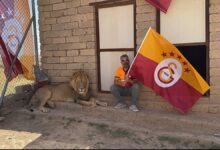 Galatasaraylı taraftar şampiyonluğu aslanlarıyla kutladı- Futbol