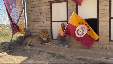 Galatasaraylı taraftar şampiyonluğu aslanlarıyla kutladı- Futbol