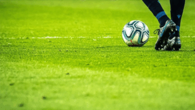 Jahovic ile şampiyonluğa- Fenerbahçe