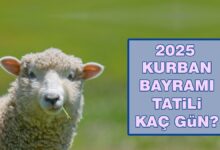 Kurban Bayramı tatili kaç gün 2025? | Kurban Bayramı hangi gün, kaç gün tatil?- Diğer Haberler