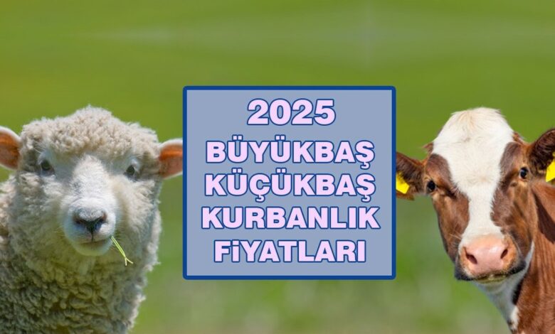 Kurbanlık fiyatları 2025 | Büyükbaş, küçükbaş kurbanlık ne kadar? Canlı hayvan kilo fiyatı 13 Kurbanlık fiyatları 2025 | Büyükbaş, küçükbaş kurbanlık ne kadar? Canlı hayvan kilo fiyatı- Diğer Haberler