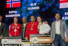 Polonya'da 9 madalya- Boks