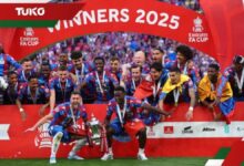Crystal Palace UEFA Avrupa Ligi'nden men edilebilir- Ligler