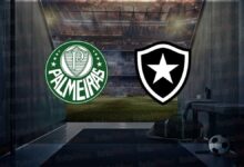 Palmeiras - Botafogo maçı ne zaman, saat kaçta, hangi kanalda? | FIFA Kulüpler Dünya Kupası- Futbol
