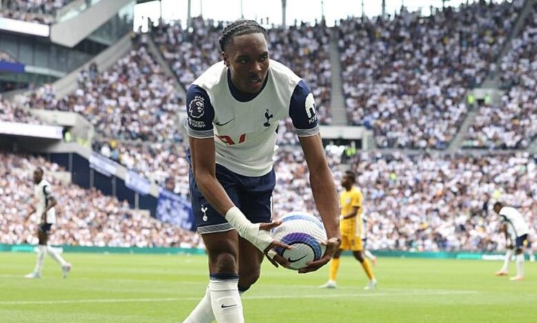 Tottenham Tel'i resmen açıkladı 11 Tottenham Tel'i resmen açıkladı- Beşiktaş