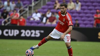 TRANSFER HABERLERİ | Fenerbahçe'den Orkun Kökçü sürprizi! Benfica'nın istediği rakam belli oldu- Fenerbahçe