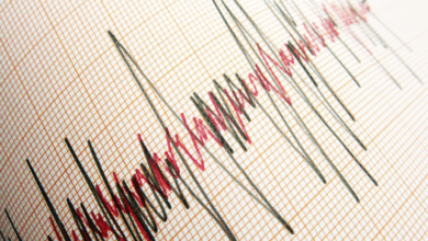 Manisa'da deprem mi oldu? Manisa'da kaç şiddetinde deprem oldu? Hangi iller hissetti? AFAD ve Kandilli son depremler- Diğer Haberler